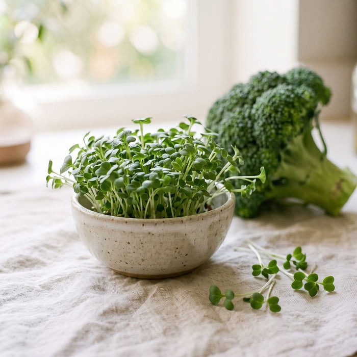 A small bowl of fresh broccoli sprouts beside a whole broccoli head on a linen cloth