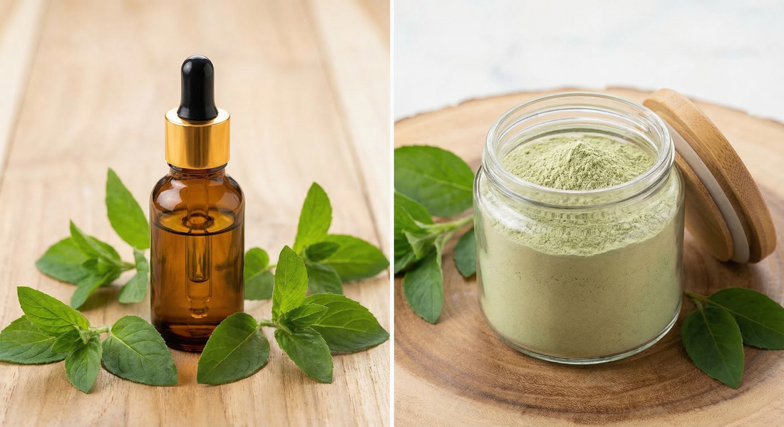 Liquid Zeolite vs Powder for Kids: Which Form Works Best for Picky Eaters?