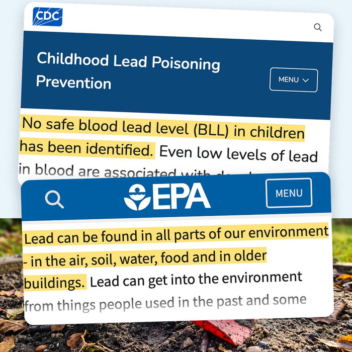 Screenshots of the CDC and EPA websites: &ldquo;No safe blood lead level (BLL) in children has been identified.&rdquo; and &ldquo;Lead can be found in all parts of our environment - in the air, soil, water, food and in older buildings.&rdquo; over backyard garden soil with fall leaves