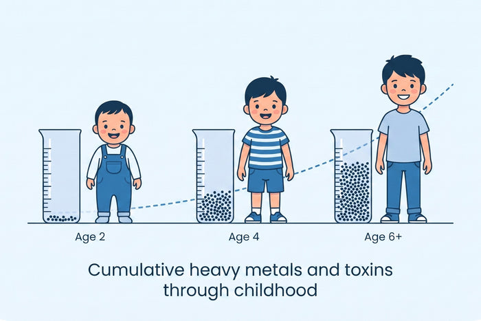 Cumulative heavy metals and toxins through childhood: a measuring cylinder beside a child fills a little more at age 2, age 4 and age 6 and older.